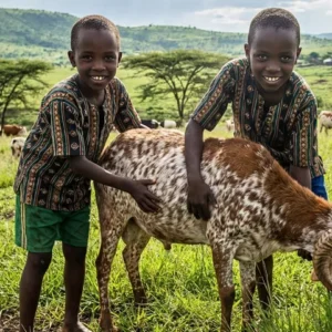 Sadakalı Şifa Kurbanı